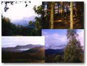 Peace and tranquility abound