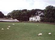 Click for a larger image of Boreland Farm